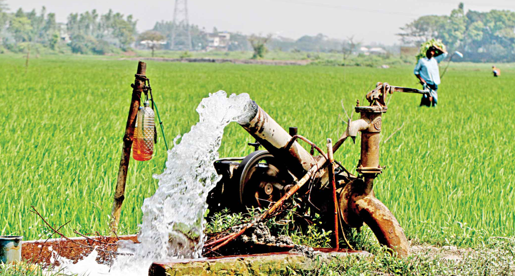 Bangladesh agriculture