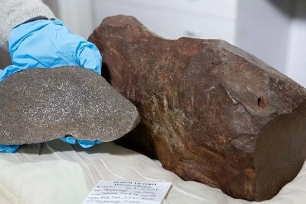 Discovery of Priceless Meteorites
