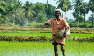 The Agriculture of Bangladesh may be Under Threat