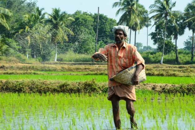 The Agriculture of Bangladesh may be Under Threat